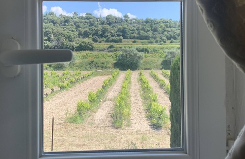 Crillon-le-Brave House | COTTAGE PROVENCAL HOUSE