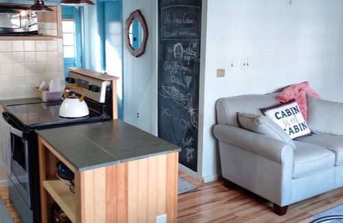 Meredith Cottage | Cottage with tennis, basketball, beach access, fireplace & firepit