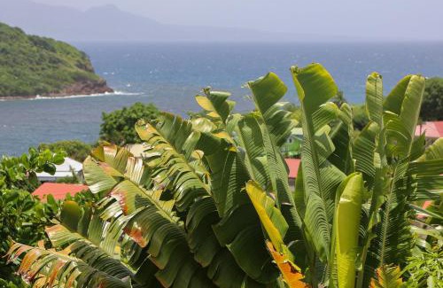 Grand Anse House | Cottages Les 3 Rochers - Vue sur mer