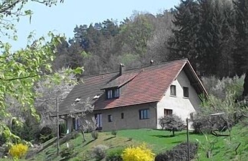 Neuve-Eglise House | Country gite, centre of Alsace, near vineyard, between Colmar & Strasbourg, wifi