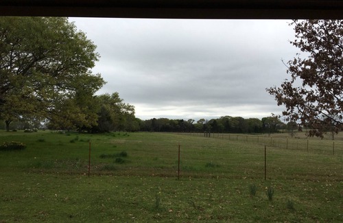 Canton House | Country Home Near First Monday in Canton, TX - Shop all day then come relax!
