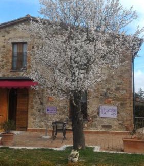 Contignano House | Country House La Fattoria Bellandi