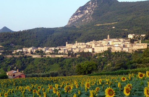 Serra San Quirico Apartment | Country House Le Grazie
