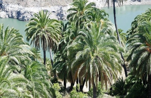 Santa Lucia House | Country house near a lovely palm oasis