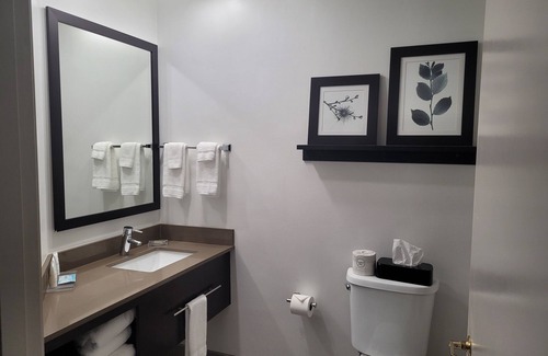 Appleton Hotel | Country Inn & Suites by Radisson, Appleton, WI