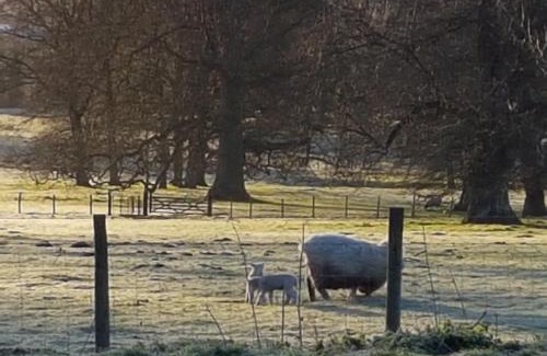 Luddenham Hotel | Country Retreat at Judd's Folly