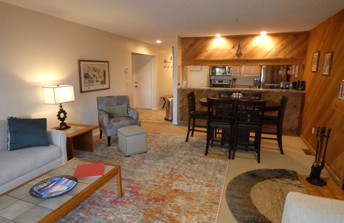 Bellaire Condo | Courtside Condo at Summit