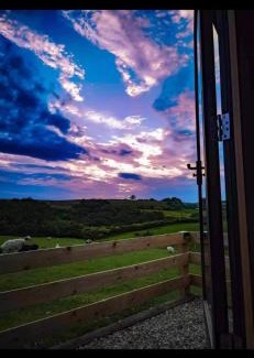 Great Fryup Dale Other | Cow Pasture Pod