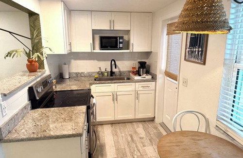 Downtown Dunedin Apartment | Cozy 1-bedroom apartment in charming Dunedin 2 min walk from downtown