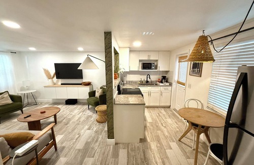 Downtown Dunedin Apartment | Cozy 1-bedroom apartment in charming Dunedin 2 min walk from downtown