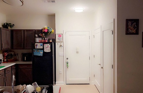 College Park Apartment | Cozy 1 bedroom to share in peaceful Downtown College Park Midrise