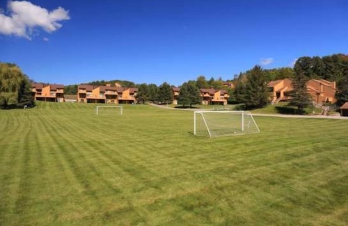 Harbor Springs Condo | Cozy 2 Bedroom, 2 Bath Trout Creek Condo #107. Close to On-Site Heated Outdoor Pool, Pickleball.