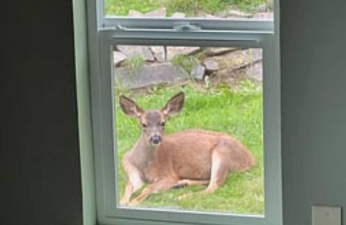 Gig Harbor House | Cozy 2-bedroom house with amazing views in charming Gig Harbor