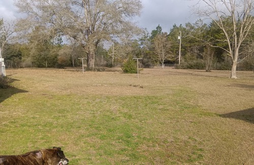 De Funiak Springs House | Cozy 2-bedroom mobile home with AC and WiFi in charming DeFuniak Springs.