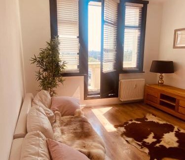 Waasdonk Apartment | Cozy and bright apartment near the center