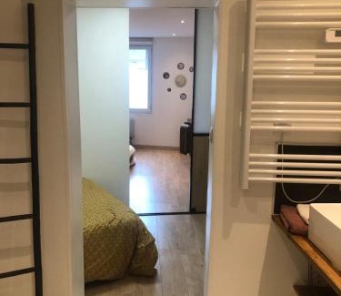 Quartier Saint-Clement - Jardin des Plantes Apartment | Cozy and comfortable 2-room apartment in Rouen