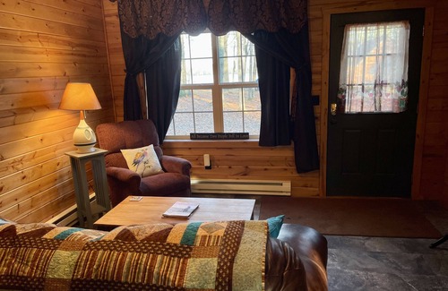 Gaylord House | Cozy and very nice cabin with water view and water/snowmobile access!