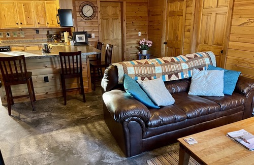 Gaylord House | Cozy and very nice cabin with water view and water/snowmobile access!