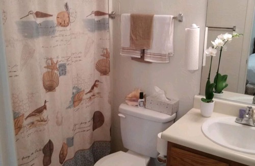 North Augusta Apartment | Cozy and warm
