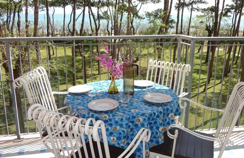 Porto Santa Margherita Apartment | Cozy apartment with seaview for 5