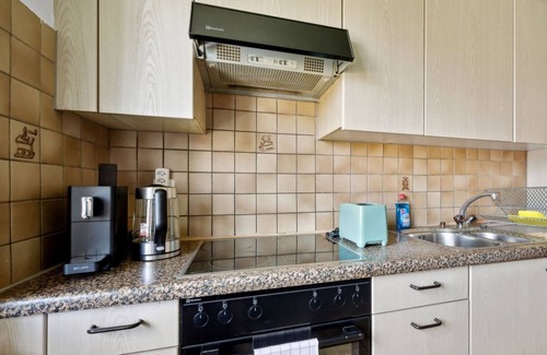 Center Apartment | Cozy Apartment 26 Mins from Zurich Center