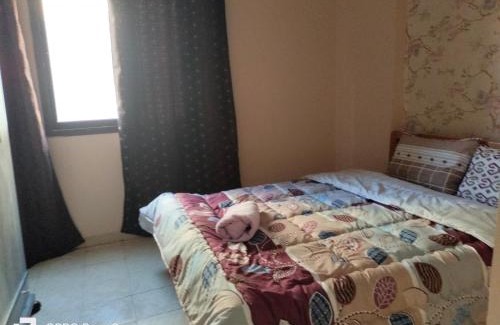 Al-Basatin Apartment | Cozy Apartment in Maadi ring road with smart TV