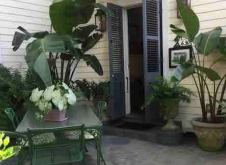 Faubourg Marigny Apartment | Cozy apartment in the Marigny