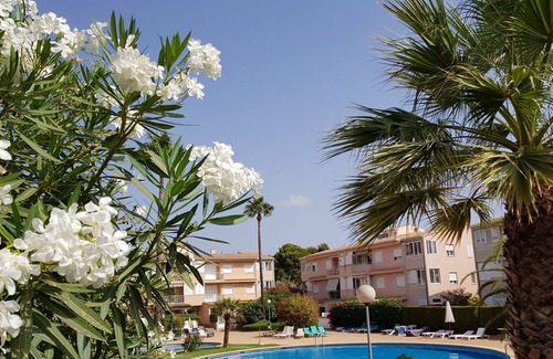Sa Coma Apartment | Cozy apartment w. Garden, grill, air conditioning, gas heating, parking lot., Pool, WiFi,