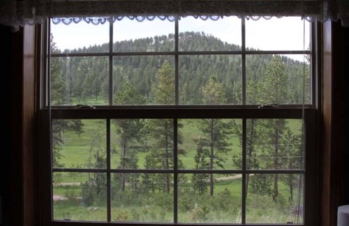 Custer Cabin | Cozy Aspen Cabin with Private Hot Tub nestled in the Central Black Hills