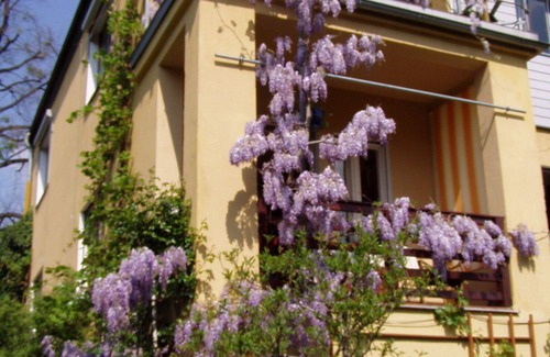 Kleinzschachwitz Apartment | cozy attic apartment in Kleinzschachwitz between Elberadweg u. tram