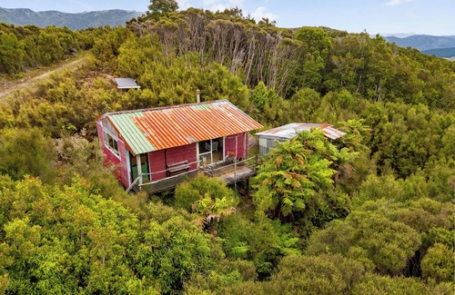 Eketahuna Cabin | Cozy back country hunting cabin. Peace, quiet and miles of bush.