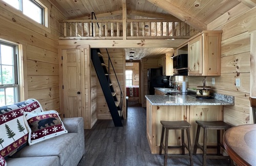 Boone Cabin | Cozy Bear Haven: Tiny Cabin, Incredible View!
