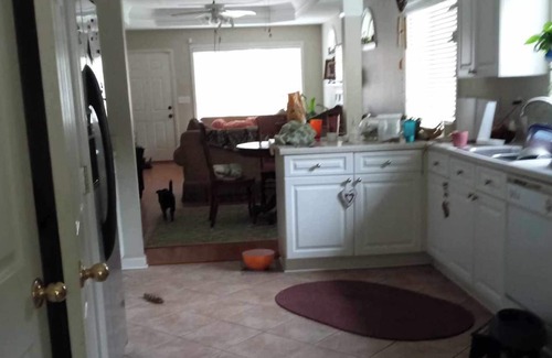 Pelham House | Cozy Beautiful private bedroom bathroom kitchen located in safe neighbor hood...
