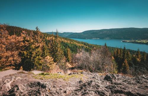 Schluchsee House | cozy Black Forest Tiny House close to lake