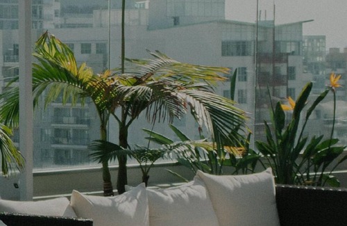 St. Elizabeth's Apartment | Cozy Brighton 1BR w/W/D, Doorman, near T & Shopping, by Blueground