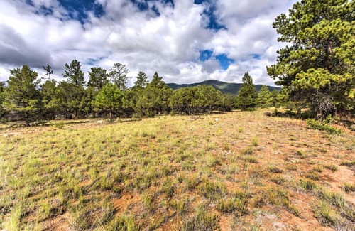 Buena Vista Apartment | Cozy Buena Vista Apartment Less Than 4 Mi to Main Street!
