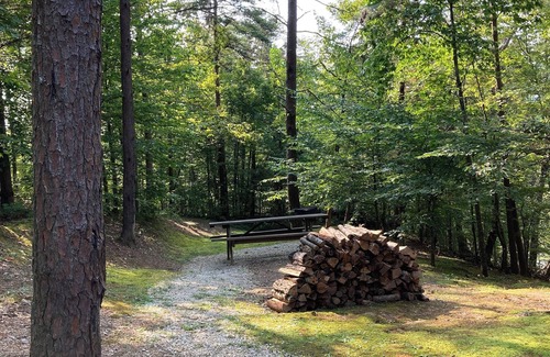 Saint Helens Cabin | Cozy cabin #1, in charming Beattyville with AC