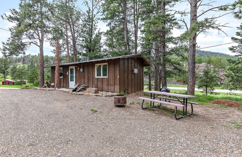 Hill City Cabin | Cozy cabin for the family!