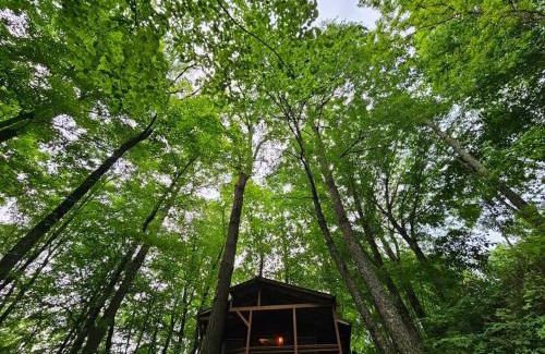 Mars Hill House | Cozy Cabin, Hot Tub, Fast 500Mbps Wi-Fi, Fireplace