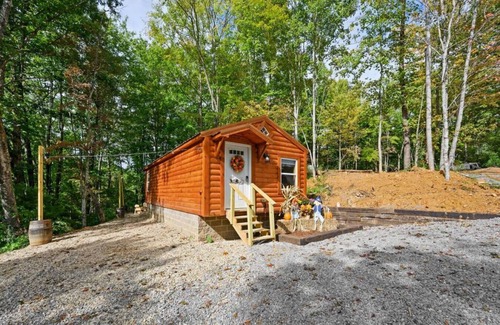 Cosby Cabin | Cozy Cabin in Cosby, TN 1 King Bed/2 Queen Bunk Beds