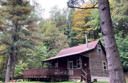 Great Valley Cabin | Cozy Cabin in the woods 2 br + 1 loft br, 1 bath. Large deck, beautiful views