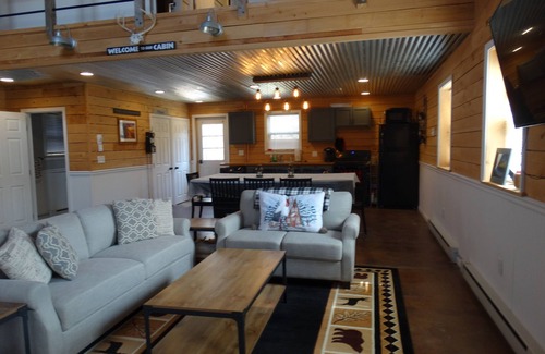Millerton House | Cozy Cabin in the woods with pool table!