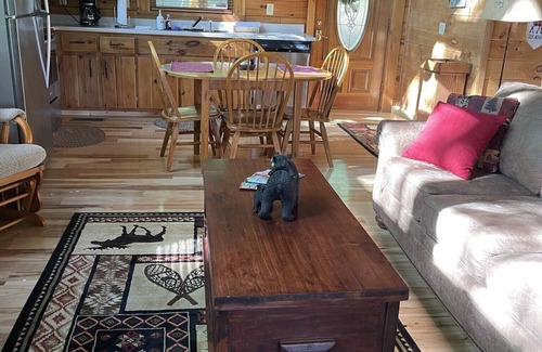 Gatlinburg - Pigeon Forge Cabin | COZY CABIN! Perfect Honeymoon or Private Getaway. Hot tub & Fireplace