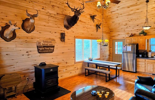 Pagosa Springs House | Cozy Cabin Retreat w/Games, Hot Tub, Pet-Friendly & Forest Access