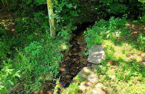 Sylva Cabin | Cozy Cabin Surrounded By Streams