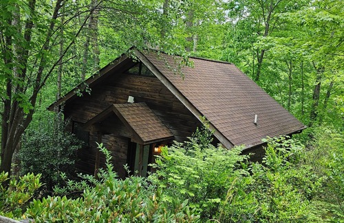 Skyland Cabin | Cozy Cabin w/Hot tub 3.7 miles from Biltmore House