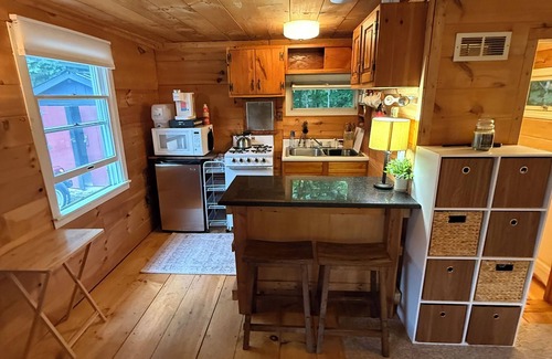 Bartlett Cabin | Cozy Cabin with AC, WiFi, Fireplace, Hot Tub