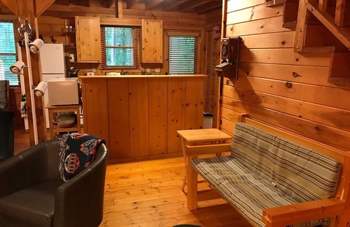 Elk Park Cabin | Cozy Cabin with Fireplace, 2 Bedrooms & 2 Queen Size Couch Beds!