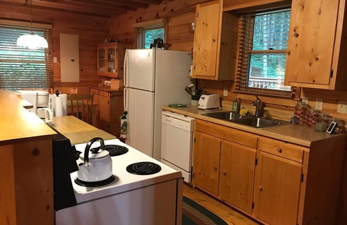 Elk Park Cabin | Cozy Cabin with Fireplace, 2 Bedrooms & 2 Queen Size Couch Beds!