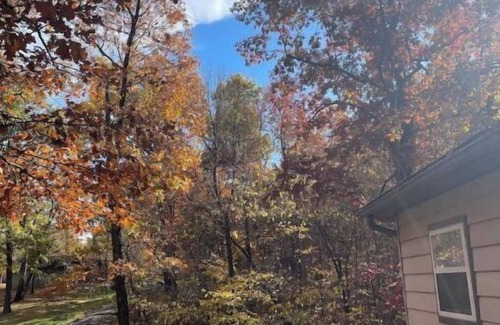 Carbondale Apartment | Cozy Cabins in the woods.